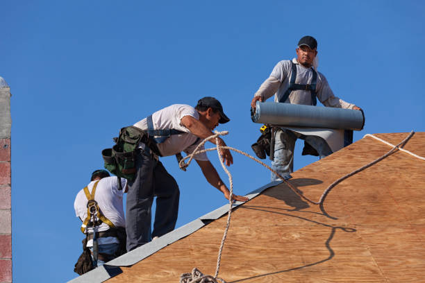 Best Roof Gutter Cleaning  in Heceta Beach, OR